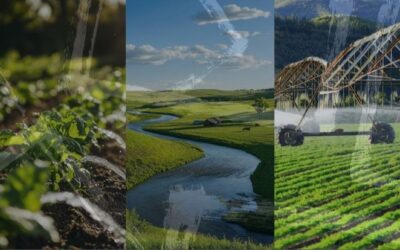 Why Water Governance is the Cornerstone of Water Security.